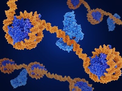 A computer render of the methylation process