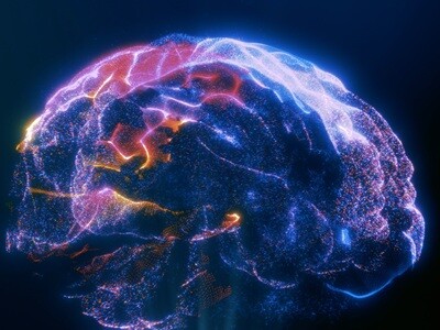 A 3D computer render of a human brain
