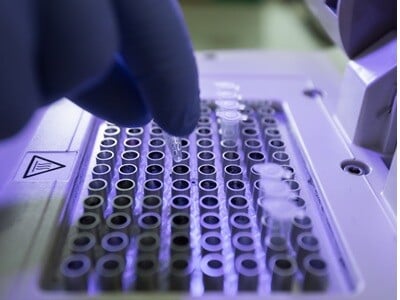 Traditional PCR
