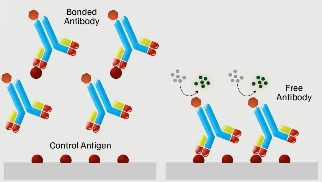 Diagram of competitive ELISA