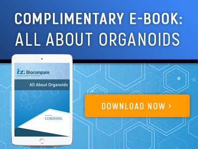 Organoids