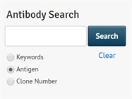 Antibody Clone Number Search