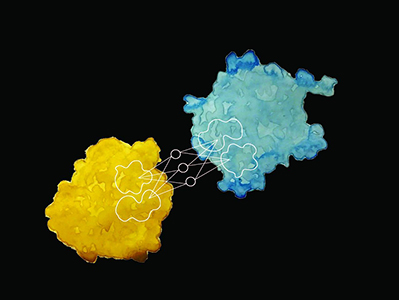 protein design