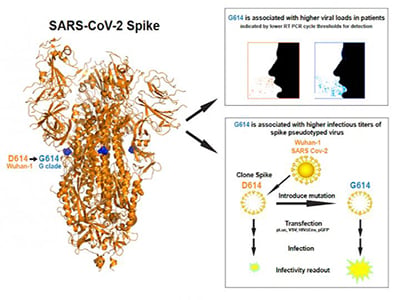 sars-cov-2