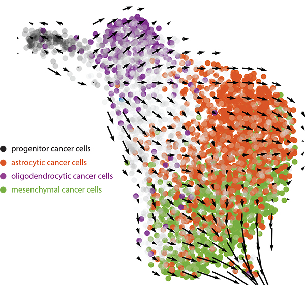 RNA-seq