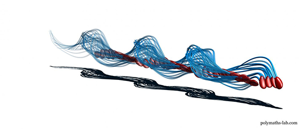 sperm