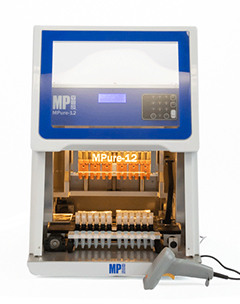 nucleic acid
