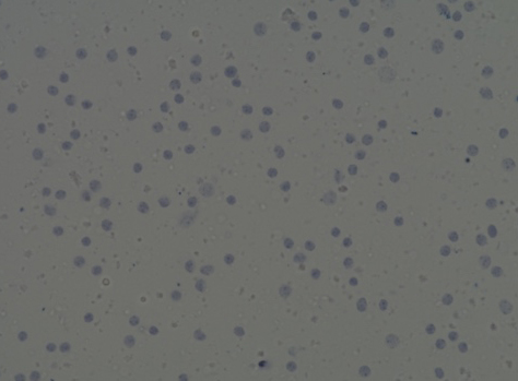 trypan blue