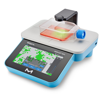 cell culture