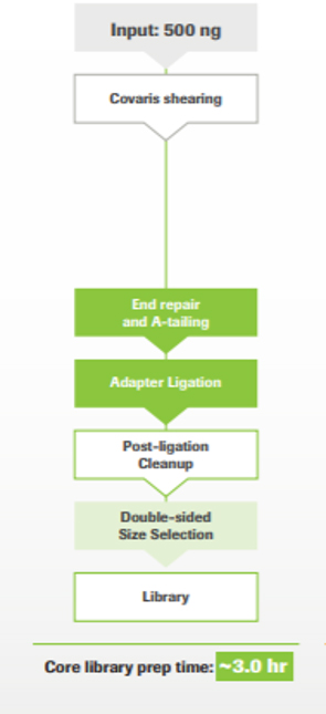 whole-genome sequencing