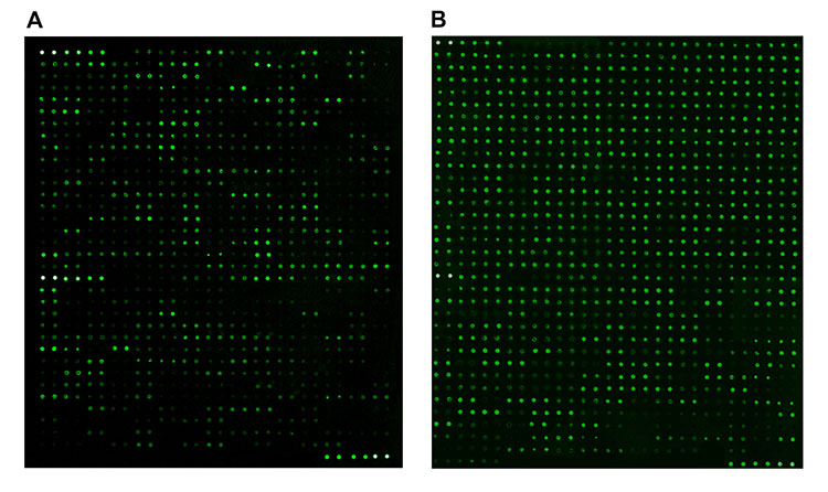 Pushing the Limits of Multianalyte Immunodetection | The Buyer's Guide ...