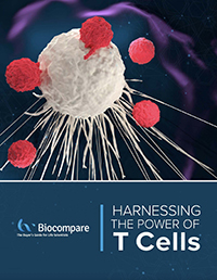 live-cell imaging