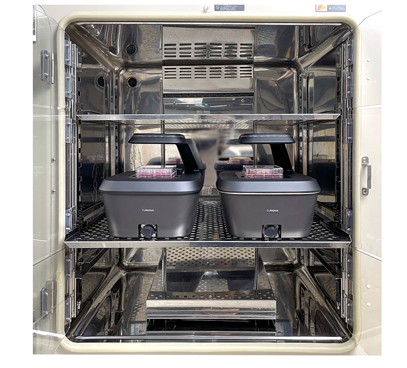live-cell imagin