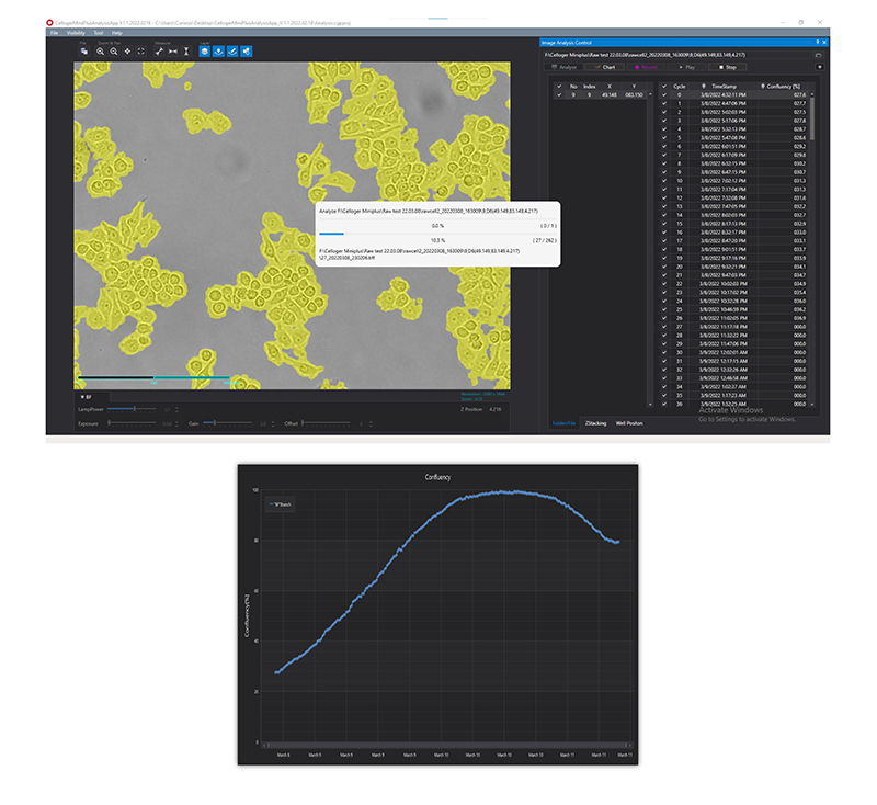 live-cell imaging