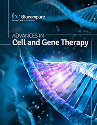 Cell and gene therapy