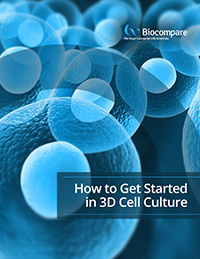 3D cell culture
