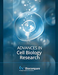 cell biology research