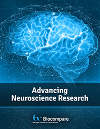 neuroscience
