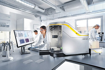 cell line development