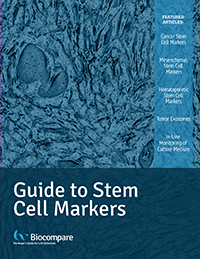 stem cell markers