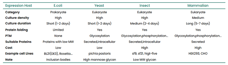 recombinant antibodies