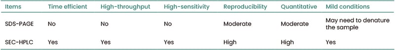 recombinant antibodies