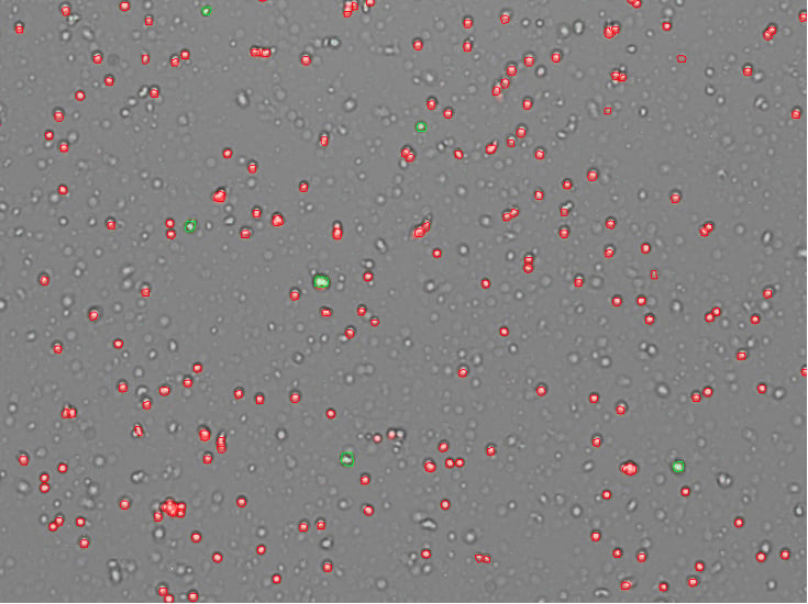 nuclei counting