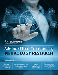 neurology research