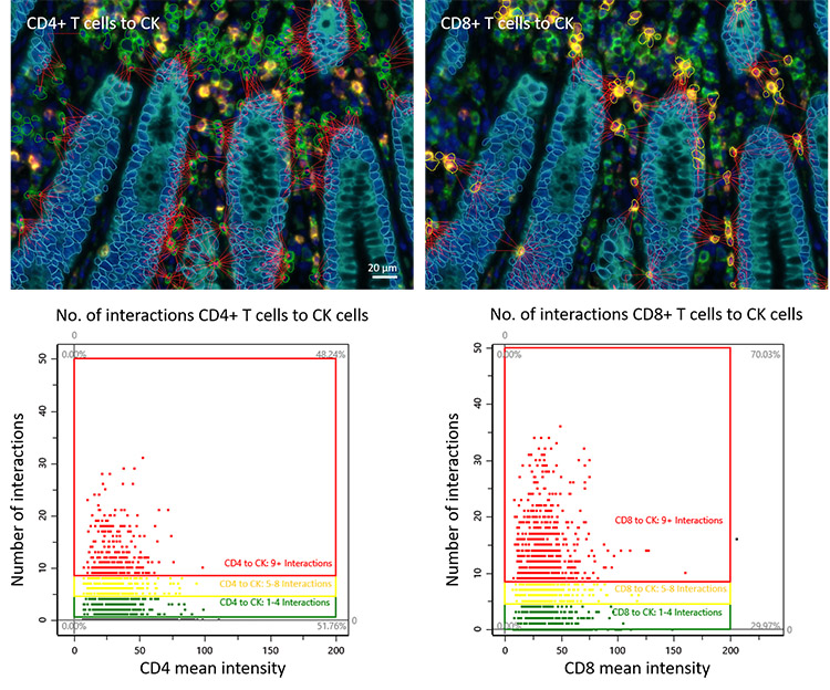 Immunophenotyping