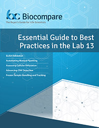 lab best practices