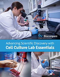cell culture