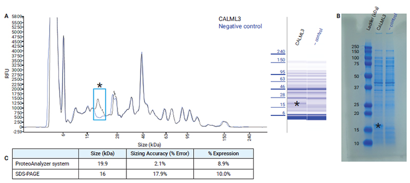 protein analysis