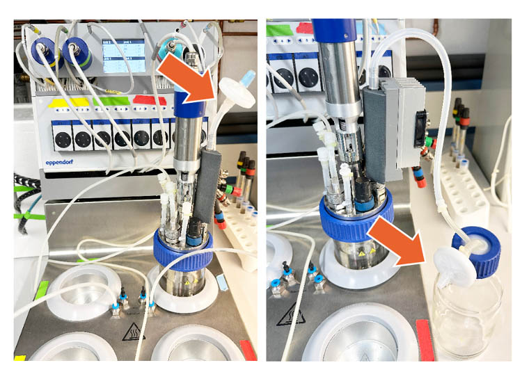 bioreactor