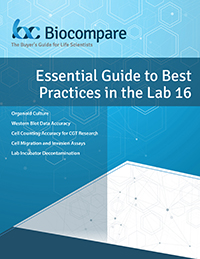lab best practices