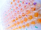 Microplate Spectrophotometers
