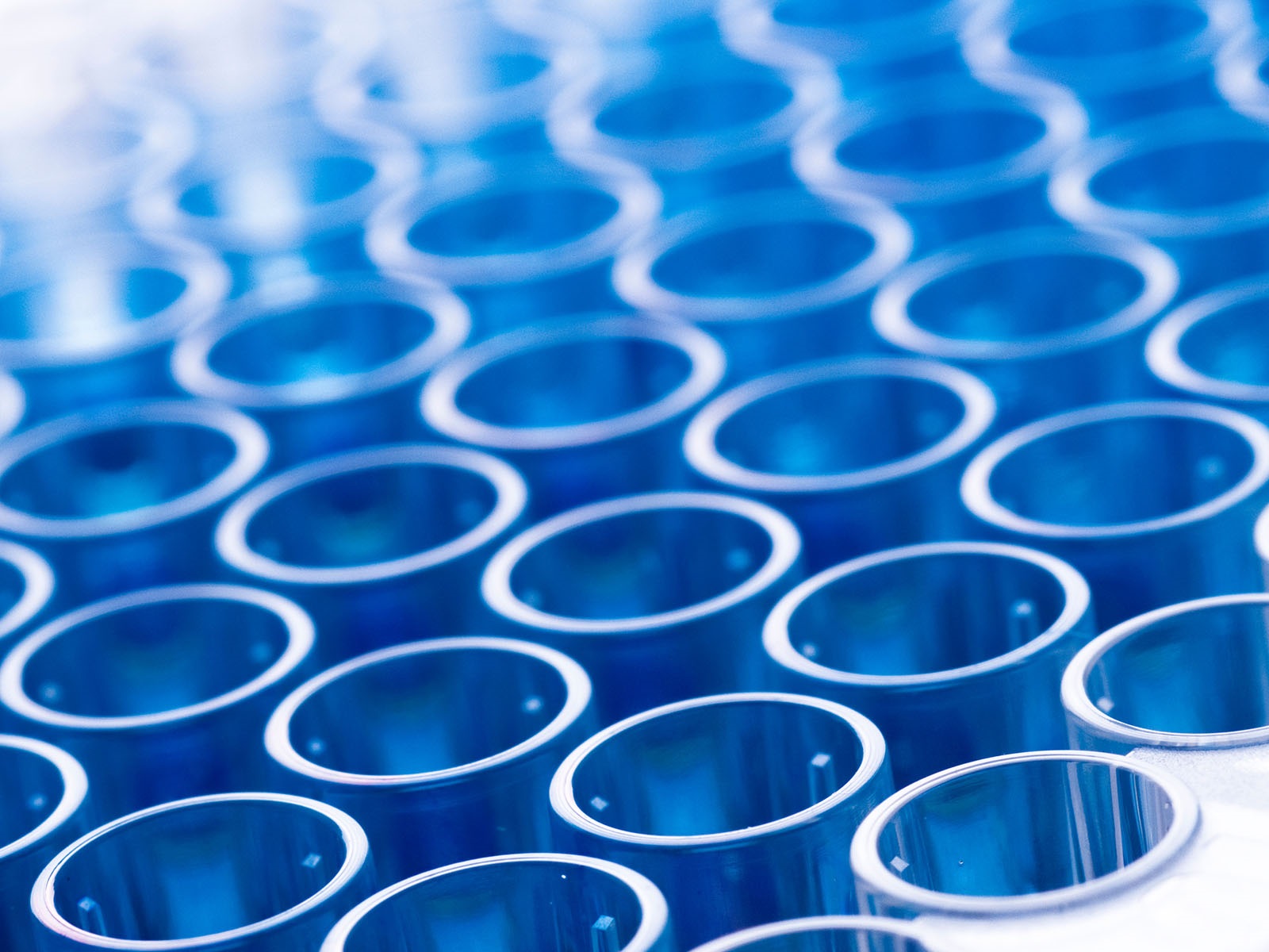 Sample Preparation and Staining