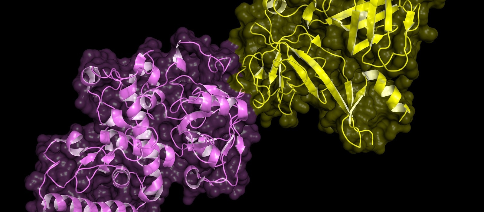 Proteomic Applications