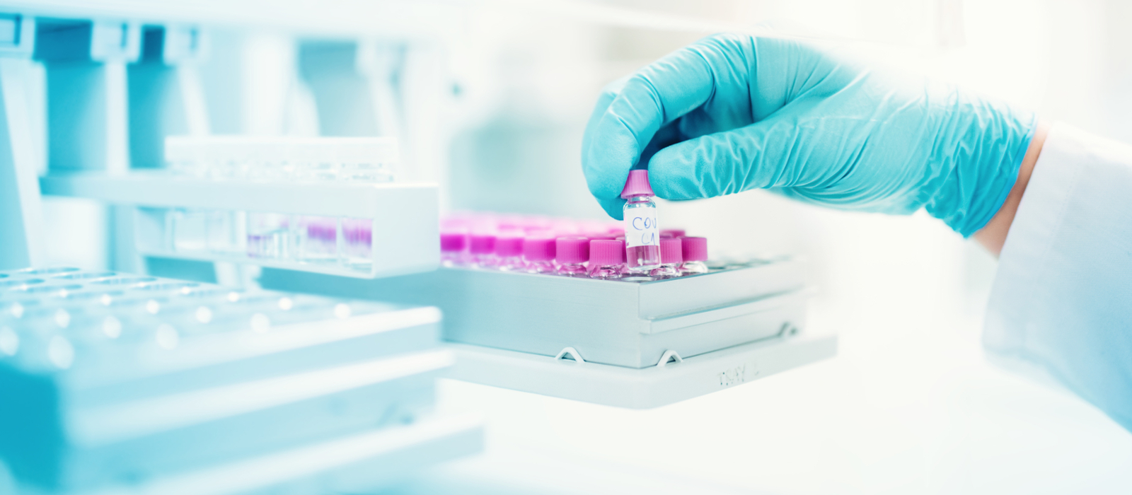 Drug Discovery