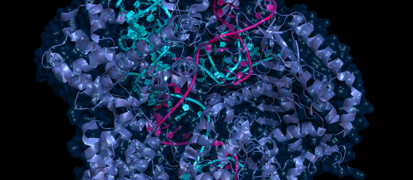 CRISPR Screening