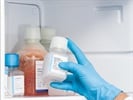 Cell Freezing Media