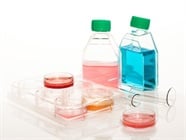 Stem Cell Supplements