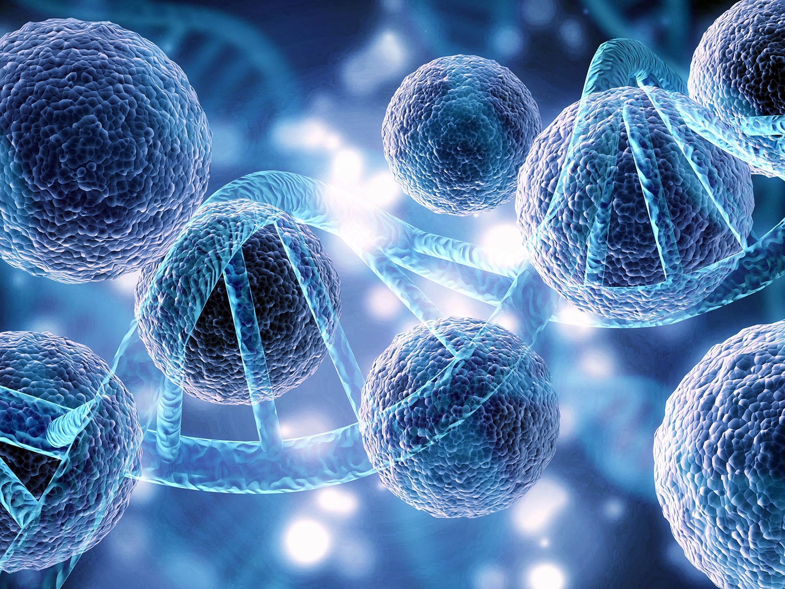 Single Cell Sequencing