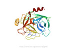 Trypsin Assay Kits