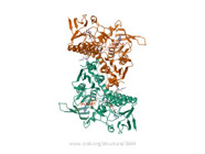 Glutathione Reductase Assay Kits