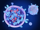 Exosome RNA Isolation Kits