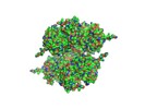 Sorbitol Dehydrogenase Assay Kits
