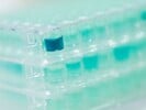 Lead Discovery & Screening