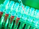 ISH Reagents