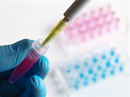 Molecular Biology Services