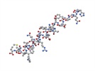 Biomolecules
